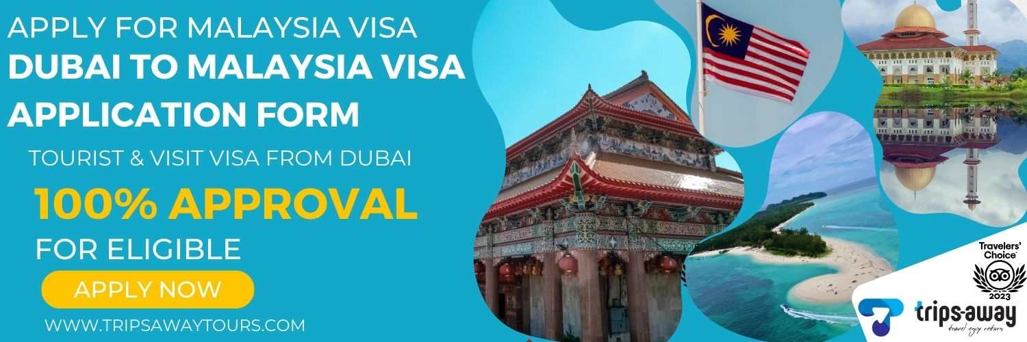Dubai to Malaysia visa application form image